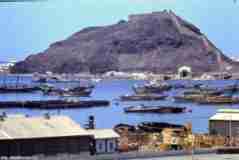 ���� ������ ��� ��� ����